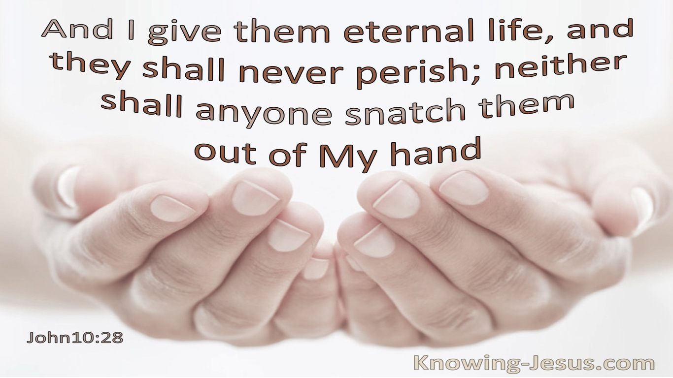 John 10:28 I Give Them Eternal Life And They Shall Not Perish None Shall Snatch Them From My Hand (pink)